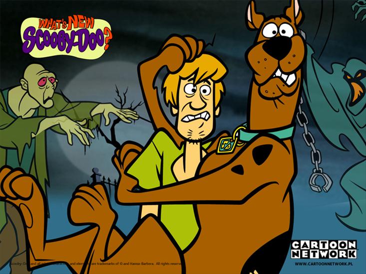 Scooby Doo - 4b45d3b233654.jpg