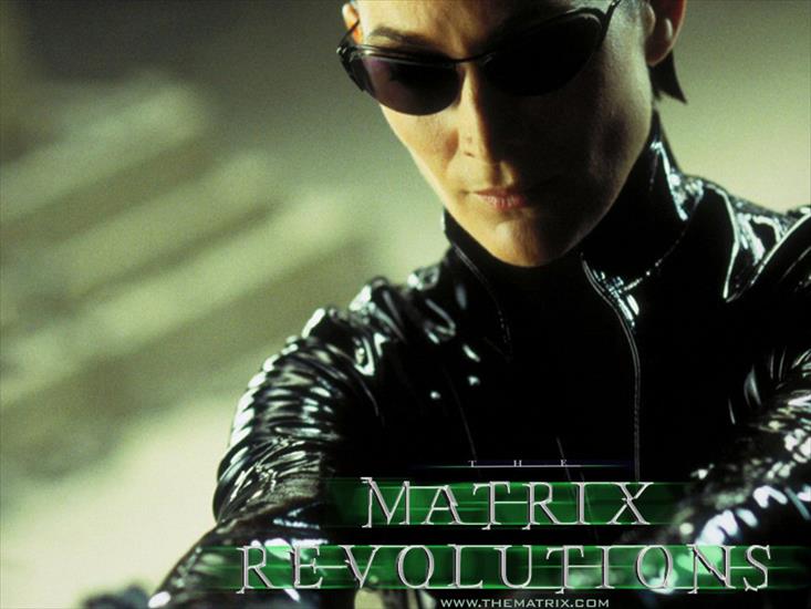 Matrix - Trinity 3.jpg