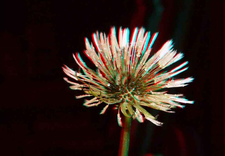 3D Anaglify - anaglyph 3d.jpg