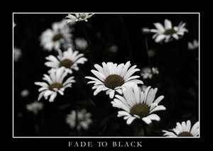bLaCk  wHiTe - black and white26.jpg