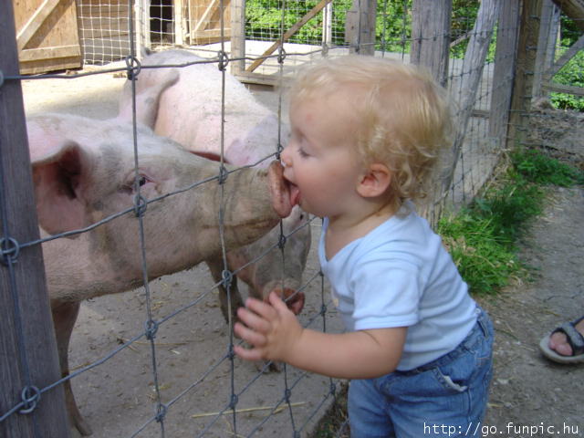 Dzieciaki-obrazki ,fotki śmieszne - swinia.jpg