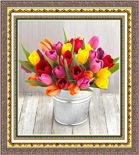 tulipany - tbbb.jpg