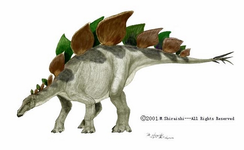 s - shiraishi_300_stegosaurus.jpg