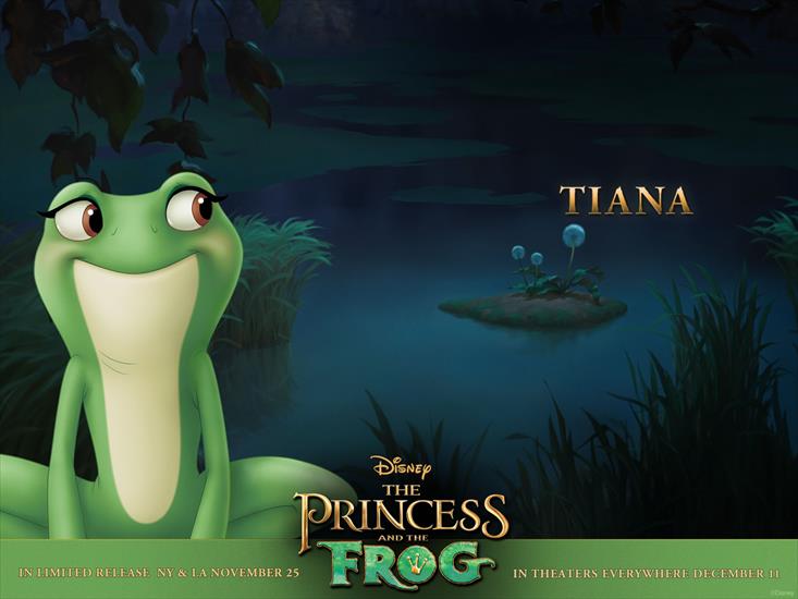 leosiowe - Princess-and-the-Frog 21.jpg