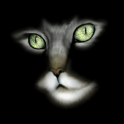GIFY KOTY2 - oczy_kotka.gif
