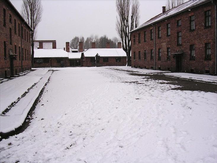 Auschwitz - Birkenau - 095 - Auschwitz-Birkenau.jpg