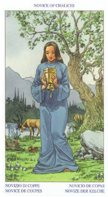 Pagan Tarot - 61.png