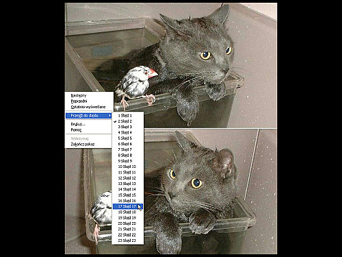 PowerPoint Viewer 2007 - Snap_1.jpg