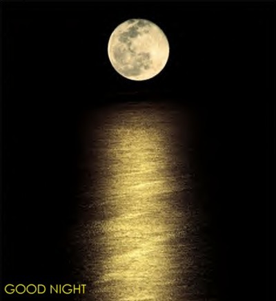 Good Night - GOODNIGHT-42.jpg