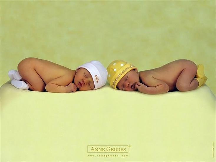 Dzieci Anny Geddes zapach_wspomnien - Anne Geddes Photography 104.bmp