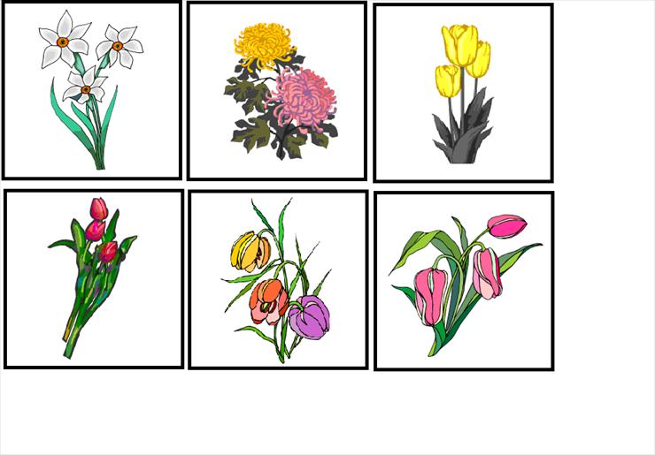 Klasyfikowanie martusia6617 - kwiaty - klasyfikacja III.PNG