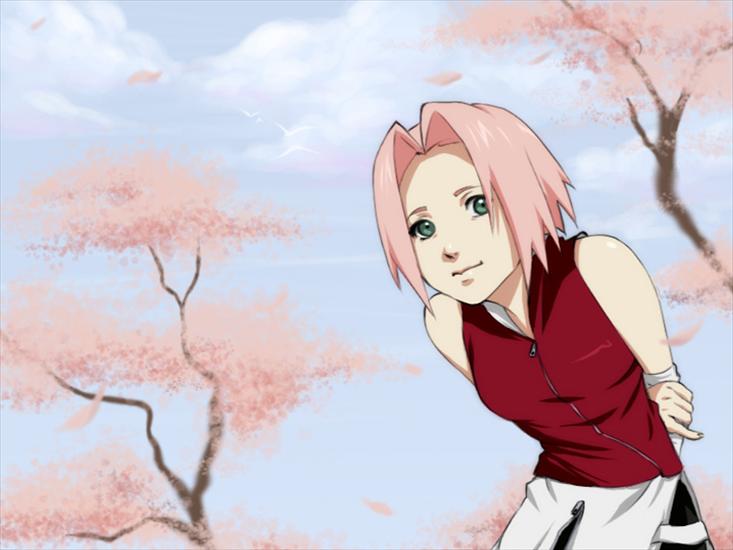 Sakura - sakura-chan-small.jpg