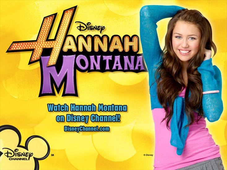 Tapety,zdjęcia - Hannah-Montana-miley-cyrus-3891498-1024-768.jpg