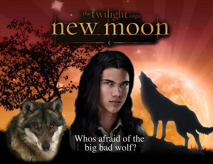 New Moon - Jacob-Black-twilight-series-4820707-1227-945.jpg