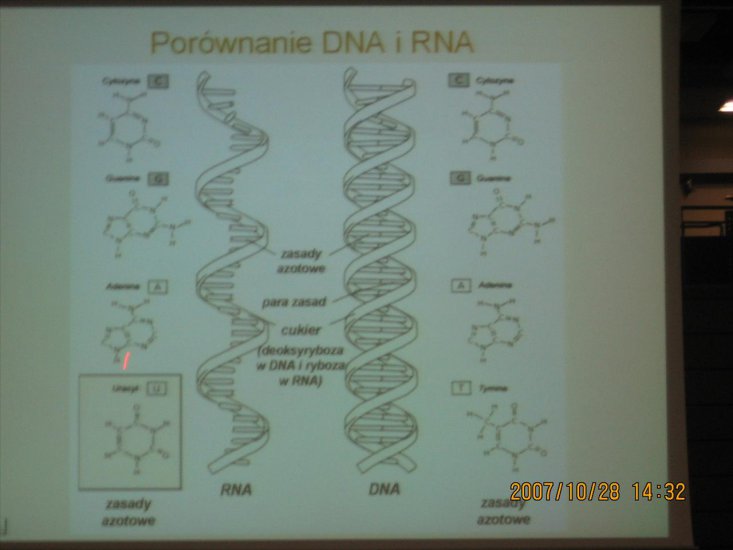 biologia z genetyką - IMG_0186.JPG