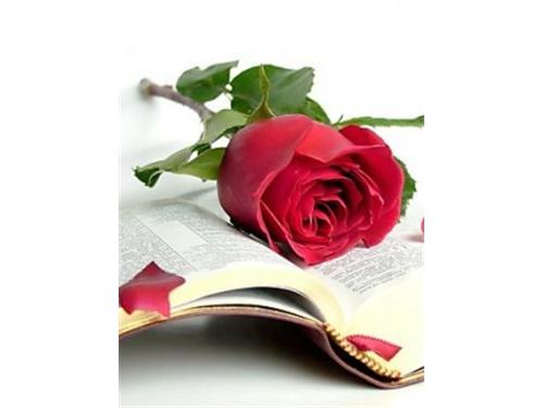 róze i książki - Gif  ksiąkża 1.jpg
