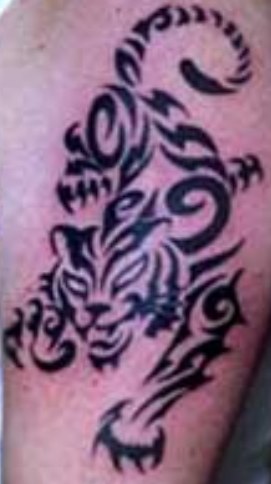 Tatuaże - tribal165.jpg