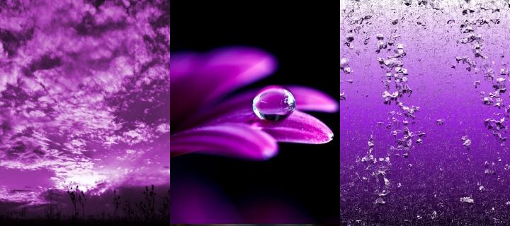 TAPETY - purplemix.jpg