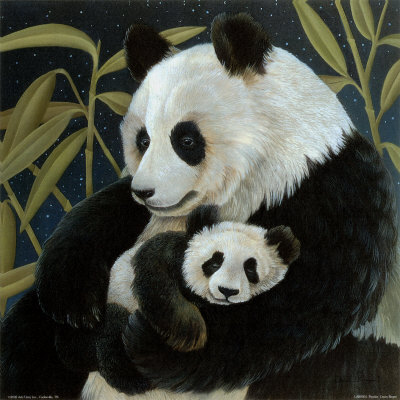 Pandas - 42.jpg