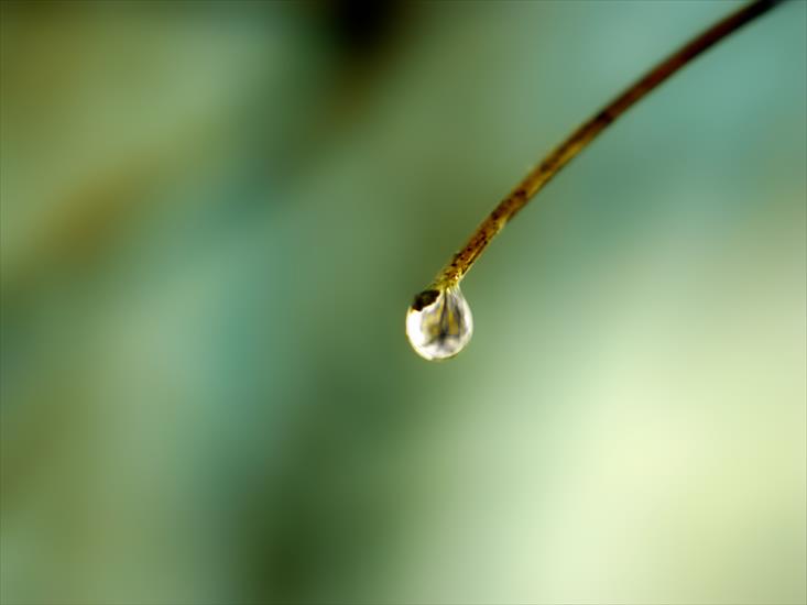Tapety - PC - Water_Drop_1600.png