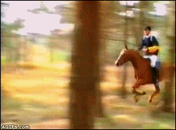 Konie - Jockey_horse_jump.gif