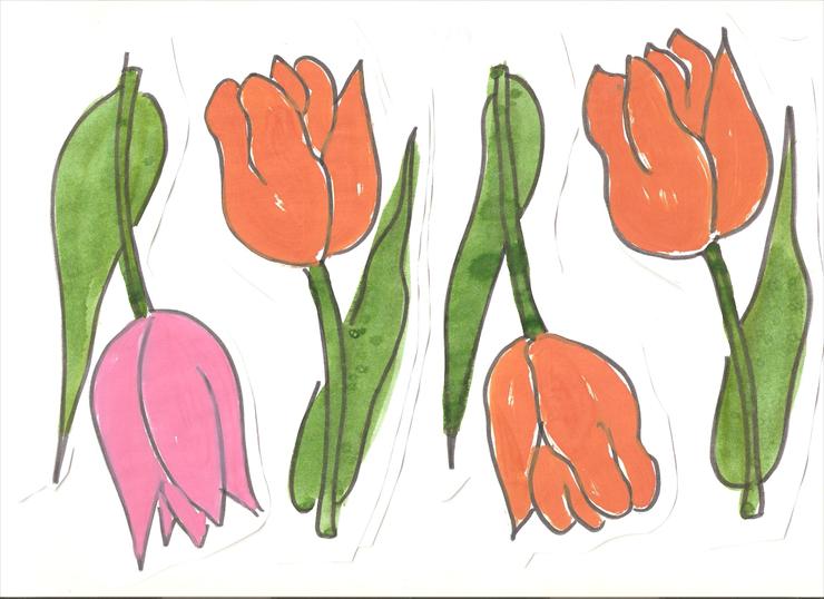 Liczmany - tulipany 2 001.jpg