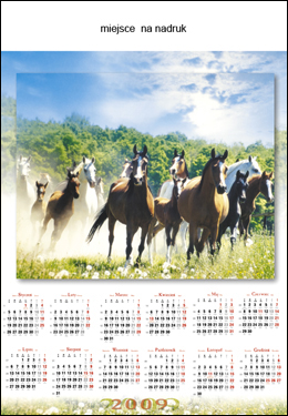 Kalendarze 2009 - 44_2.jpg