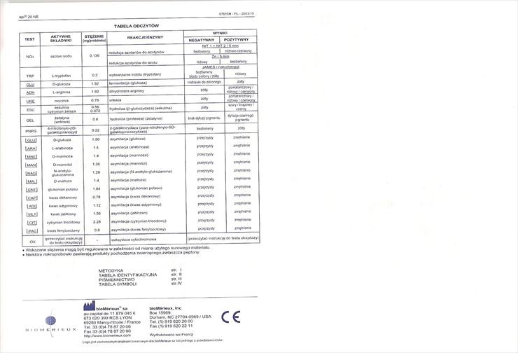 Lab 21 - API_20_NE2.jpg