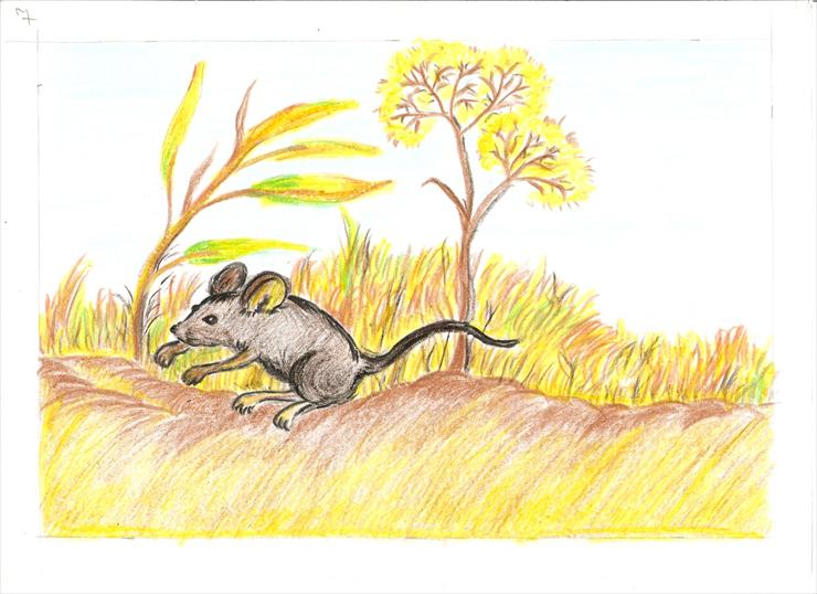 zwierzęta lasu plansze - myszka 7.jpg