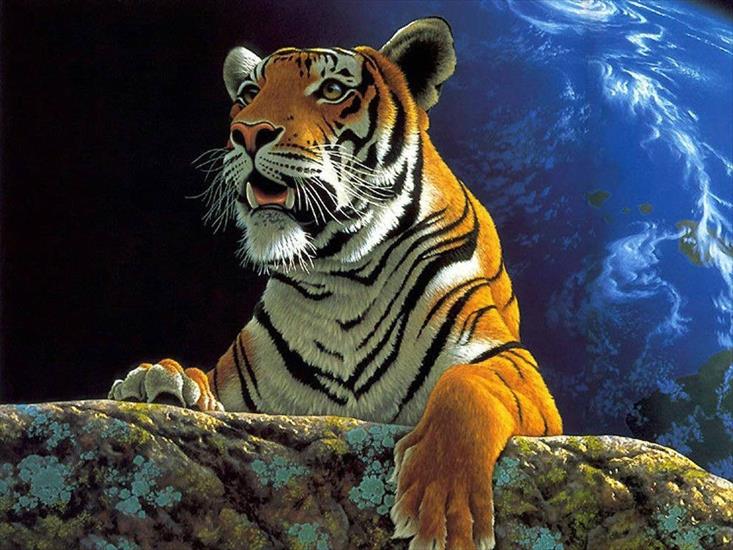 Zwierzęta - tapeta tygrys.jpg
