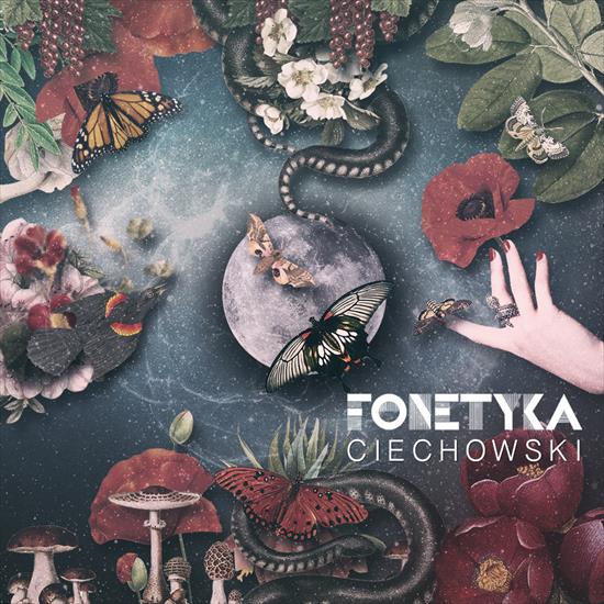 Fonetyka - Fonetyka - Ciechowski 2016.jpg