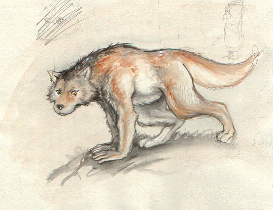 mieszanka - Werewolf.jpeg