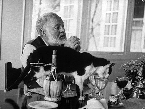 Za granicą - Ernest Hemingway z kotem przy stole.jpg