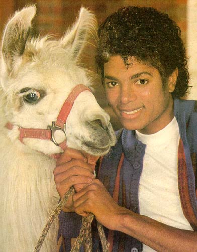  MJ z zwierzętami - Gallery414.jpg