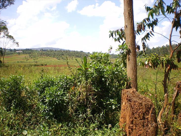 Burundi - Nature_In_Kayanza.JPG