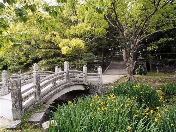 Japonia - Hagi Castle Garden, Western Honshu, Japan.jpg