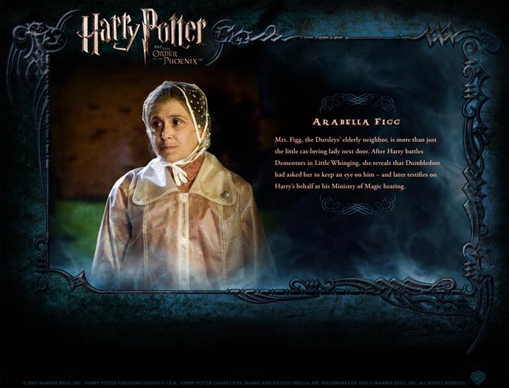 Character Profile - Character-Profile-harry-potter-130073_1050_800.jpg