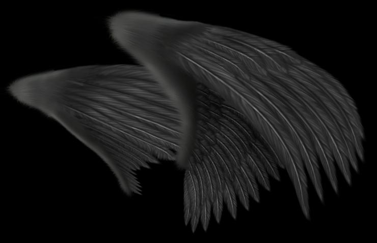 anioły i demony - skrzydła1.png