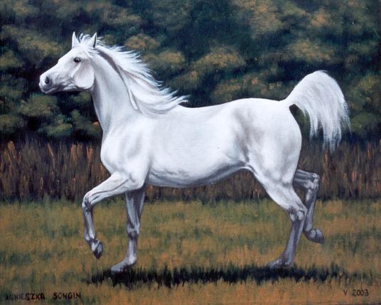 Koń w sztuce - 055.jpg