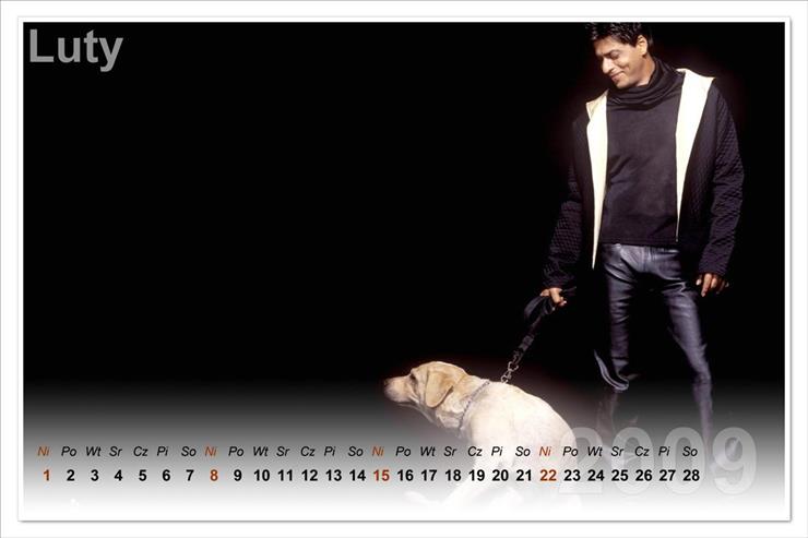 Kalendarze 2009 z Shahrukh Khan1 - shah rukh khan 2za.jpg