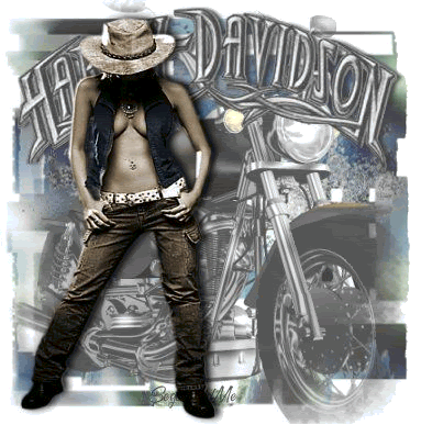 Harley Davidson - hd461.gif