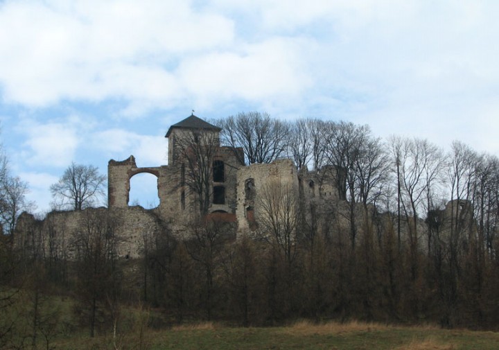 FOTO ZAMEK TĘCZYŃSKI W RUDNIE - Zamek_Tenczyn_2624739.jpg