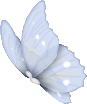 motyle,owady - butterfly3.png