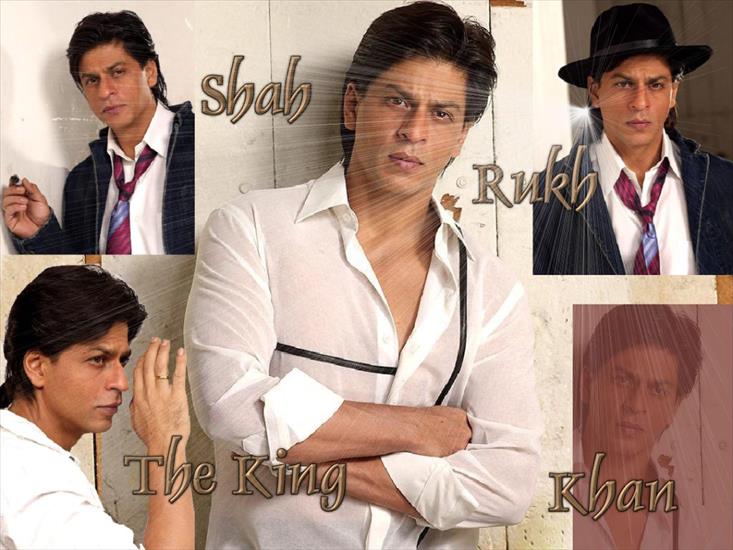 Shah Rukh Khan - user38_pic1393_1215017432.jpg