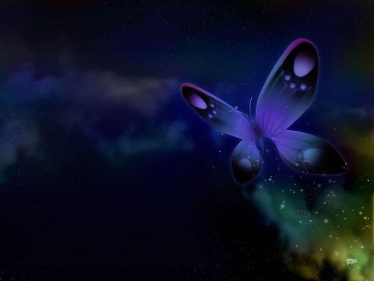 abstrakcja - butterfly-purple-black-wings.jpg