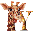 Alfabet z Żyrafą - 002 - Y.gif