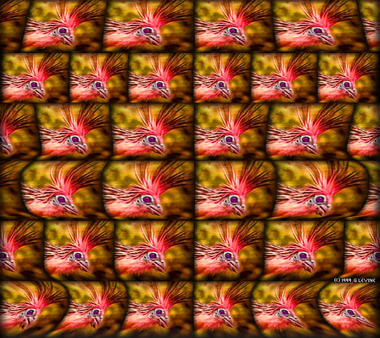 MAGICZNE OKO - Trójwymiarowe obrazy - birdie2.JPG