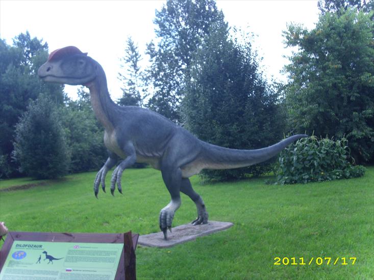 Park dinozaurów Jurowce - DSCI1187.JPG