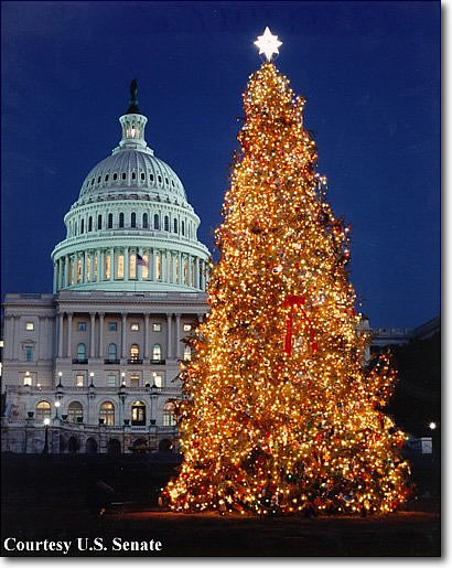 Rózne choinki świąteczne - capitol_christmas_tree_1995_21.jpg