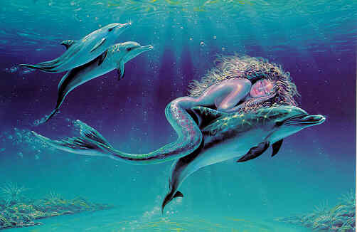 Delfiny i Orki - zeemeermin21.jpg